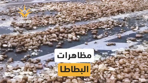 بطاطس في الشوارع… واحتجاج في كل زاوية في العاصمة البلجيكية بروكسيل