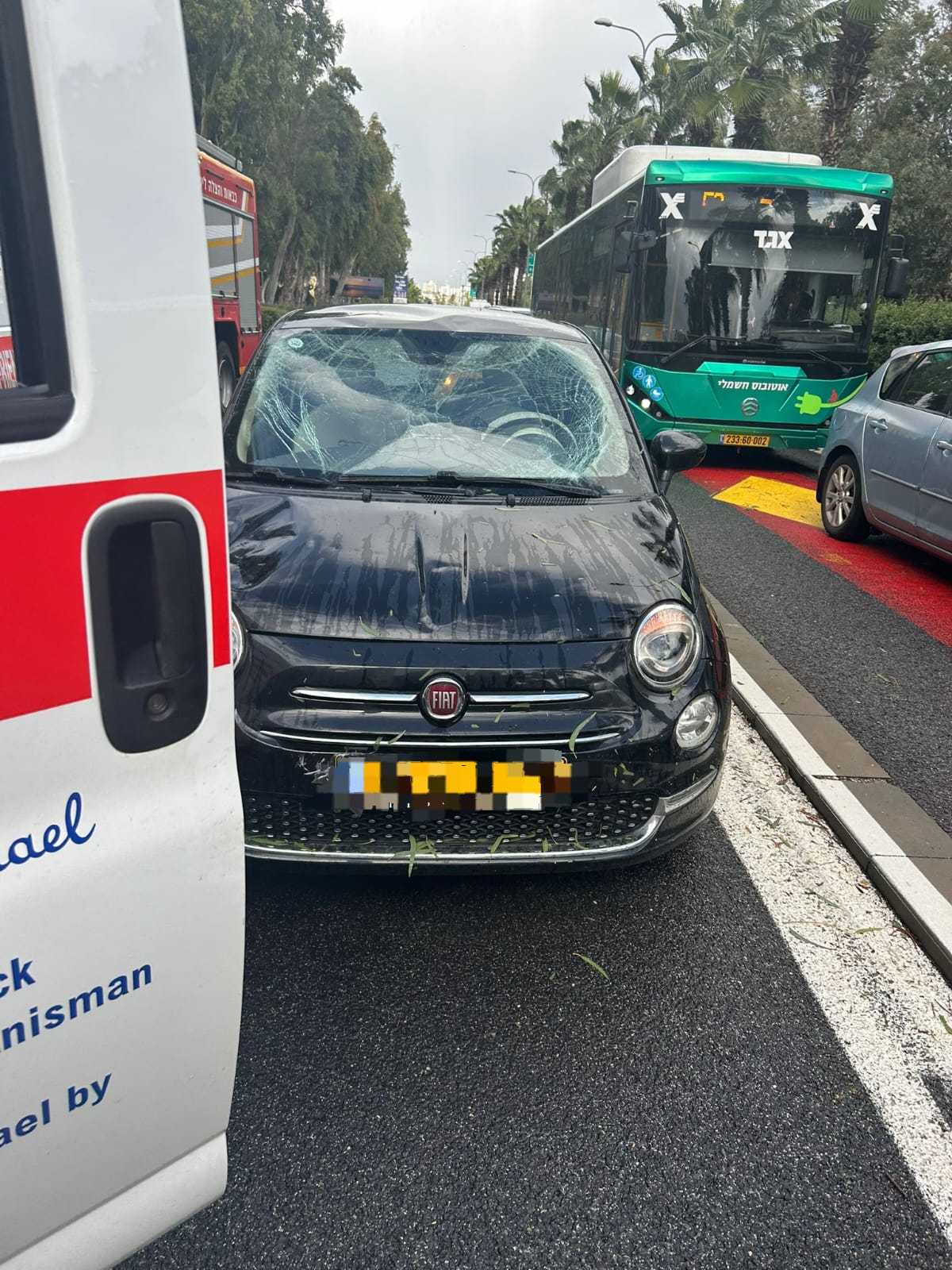 تصوير نجمة داوود الحمراء
