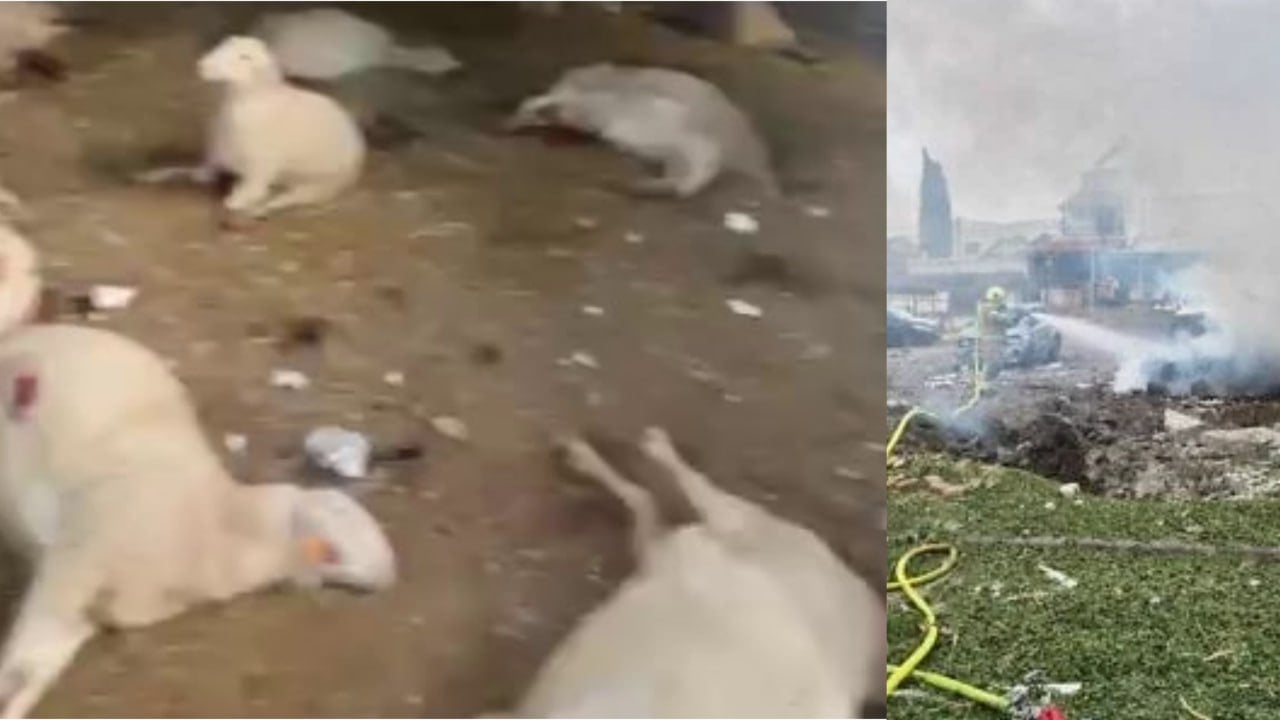 صاروخ يدمر حظيرة أغنام في كفرقاسم: نفوق 49 رأسًا وإصابة فتى بشظايا