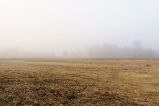 shutterstock - توضيحية 