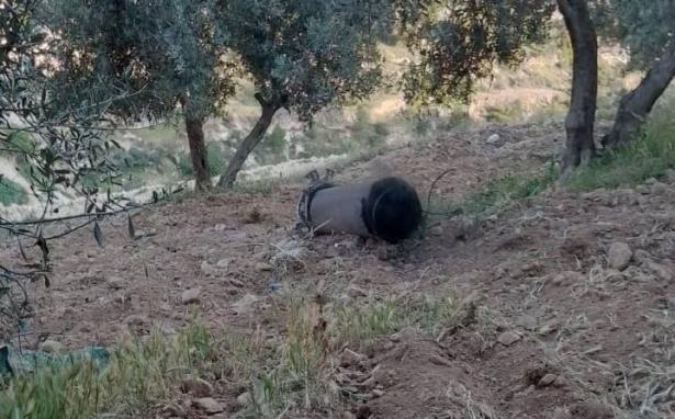 شظايا صاروخ في دورا في الخليل- تصوير السكان 