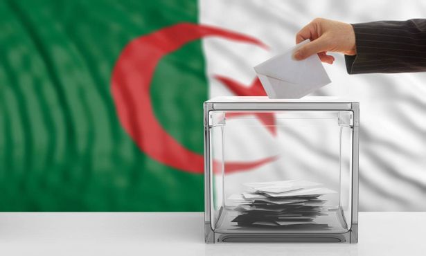 انتخابات الجزائر