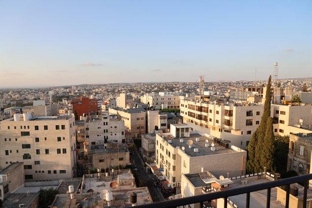 طول كرم