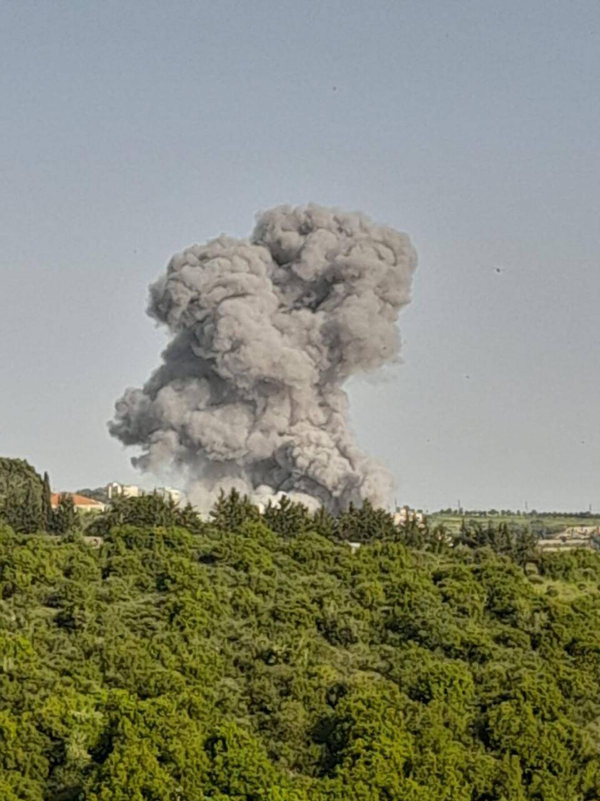 صورة توضيحية 
