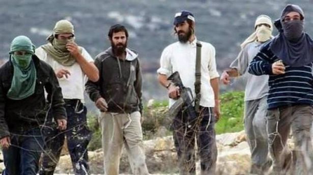مستوطنون في أراضي الضّفة  