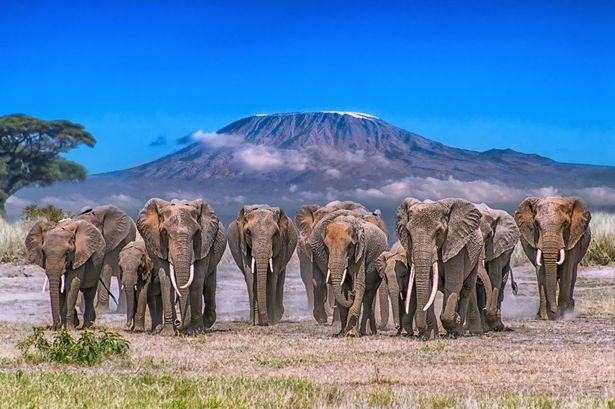 7 مغامرات جذابة لعشاق الإثارة في السفر