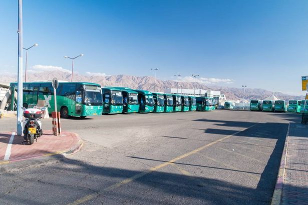 منظمة سائقي النقل العام: ارتفاع العنف ضد السائقين بأكثر من 12%