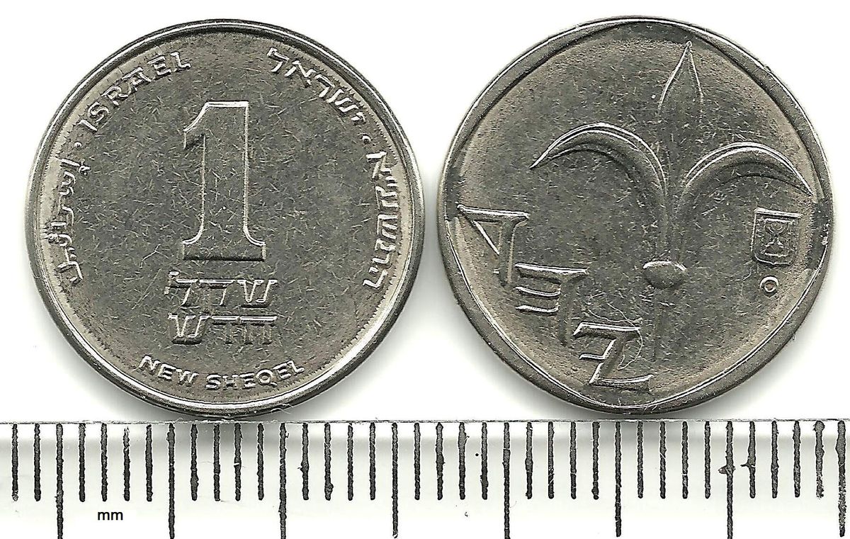 عملة معدنية من فئة شيكل جديد واحد (تصوير: Kalashnov / ويكيميديا كومنز، CC BY-SA 3.0)