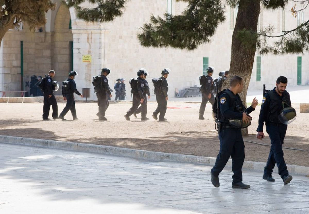 shutterstock