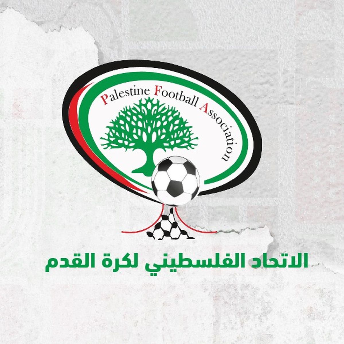الصورة من الحساب الرسمي للاتحاد الفلسطيني لكرة القدم على فيسبوك