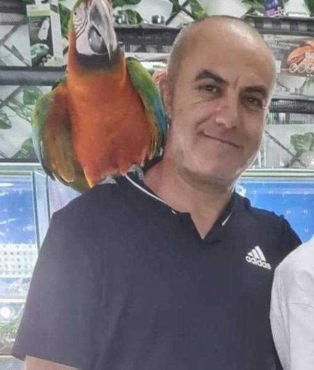 مقتل مجد طافش من بيت جن بعد عام من إصابته بإطلاق نار