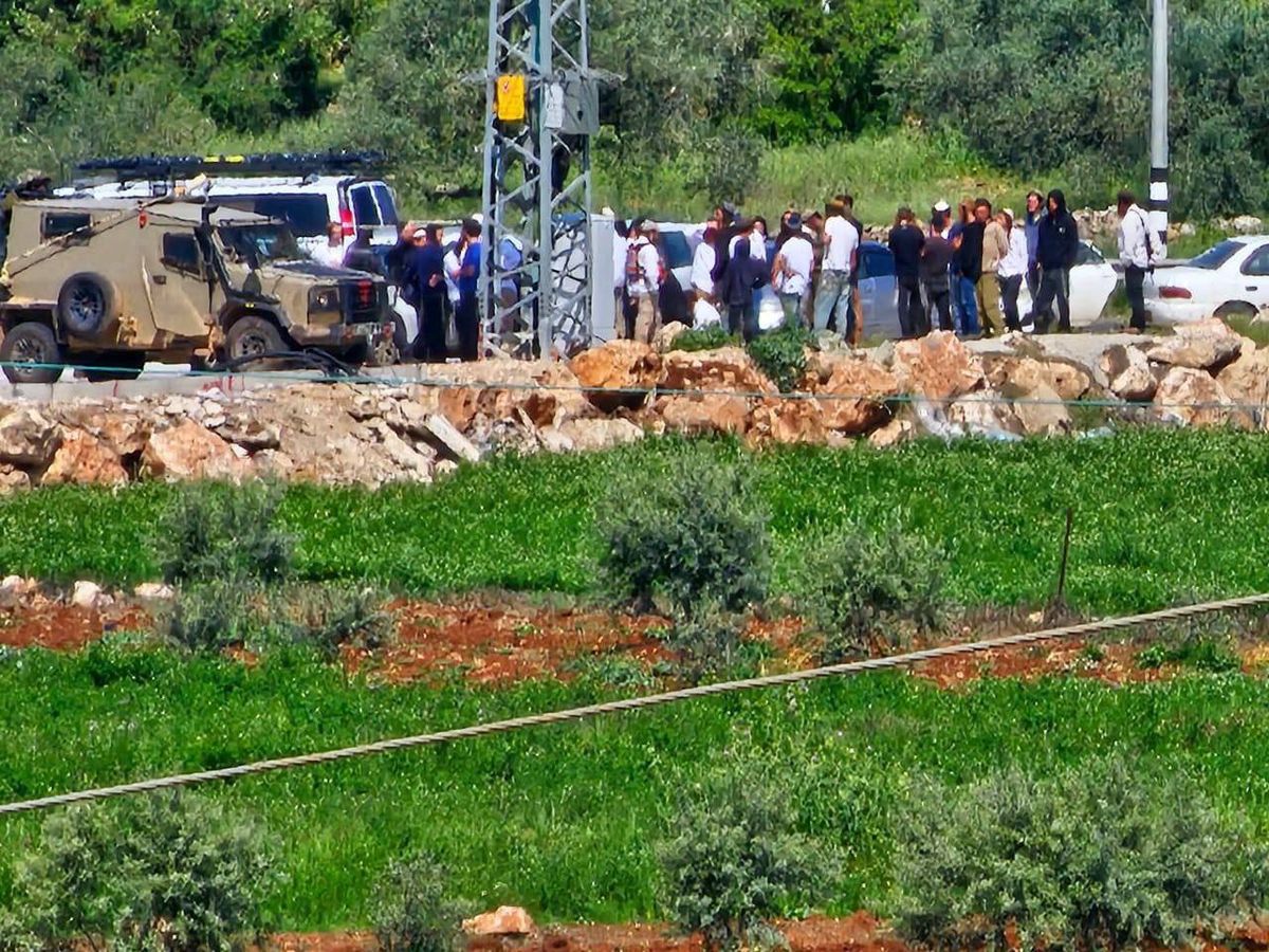 مستوطنون يسرقون محاصيل القمح ويعتدون على المنازل في الضفة الغربية