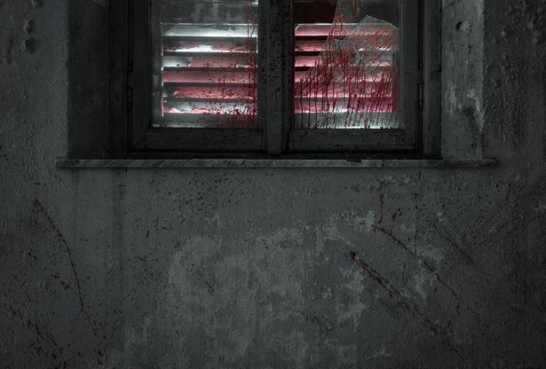 صورة توضيحية، Envatoelements