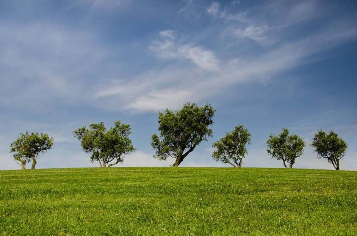 shutterstock
