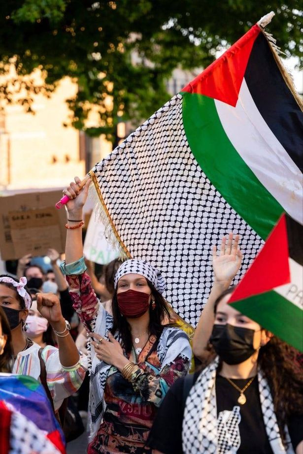 بيلا حديد تكشف عن خسائر بسبب فلسطين..