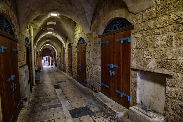 elements.envato