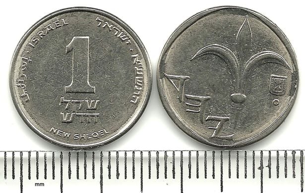 عملة معدنية من فئة شيكل جديد واحد (تصوير: Kalashnov / ويكيميديا كومنز، CC BY-SA 3.0)
