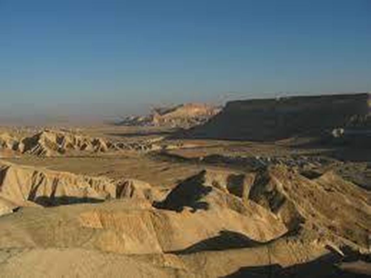 النقب