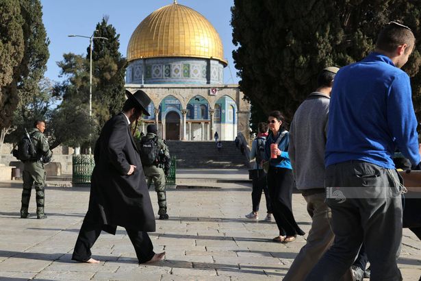عشرات المستوطنين يقتحمون المسجد الأقصى، ودعوات لإحياء الفجر العظيم غدًا