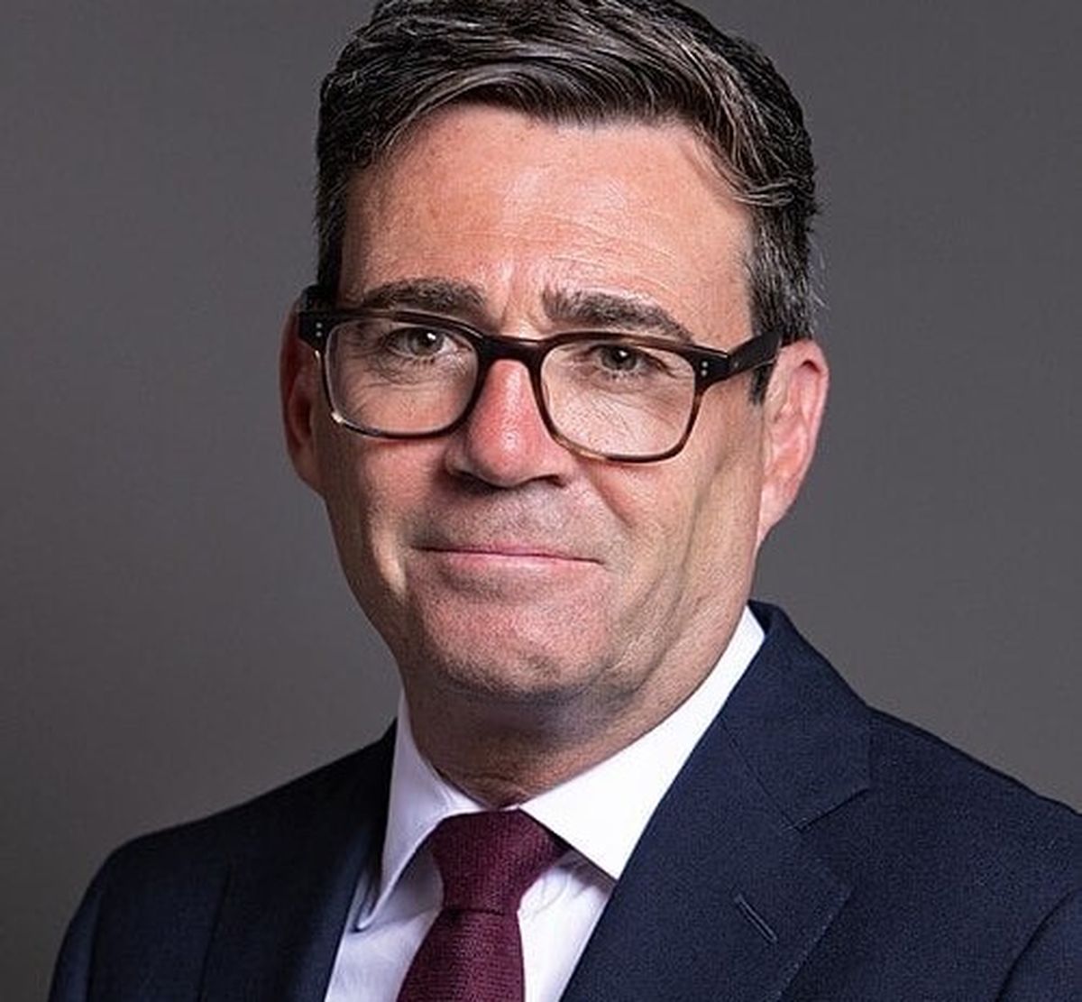 موقع البرلمان البريطاني - Andrew Murray Burnham