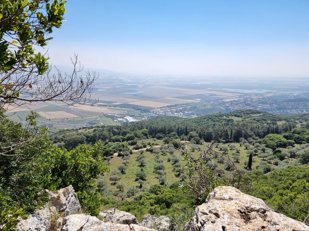 مشهد لمرج بن عامر من المحرقة (تصوير: ميخال فريمان / ويكيميديا كومنز، CC BY 2.5)