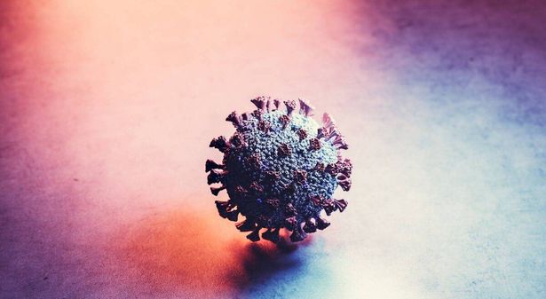 "أقل عدوى من الكورونا".. أ.د. فهد حكيم يوضح حقيقة فيروس HPMV وهل يتحول إلى وباء عالمي؟