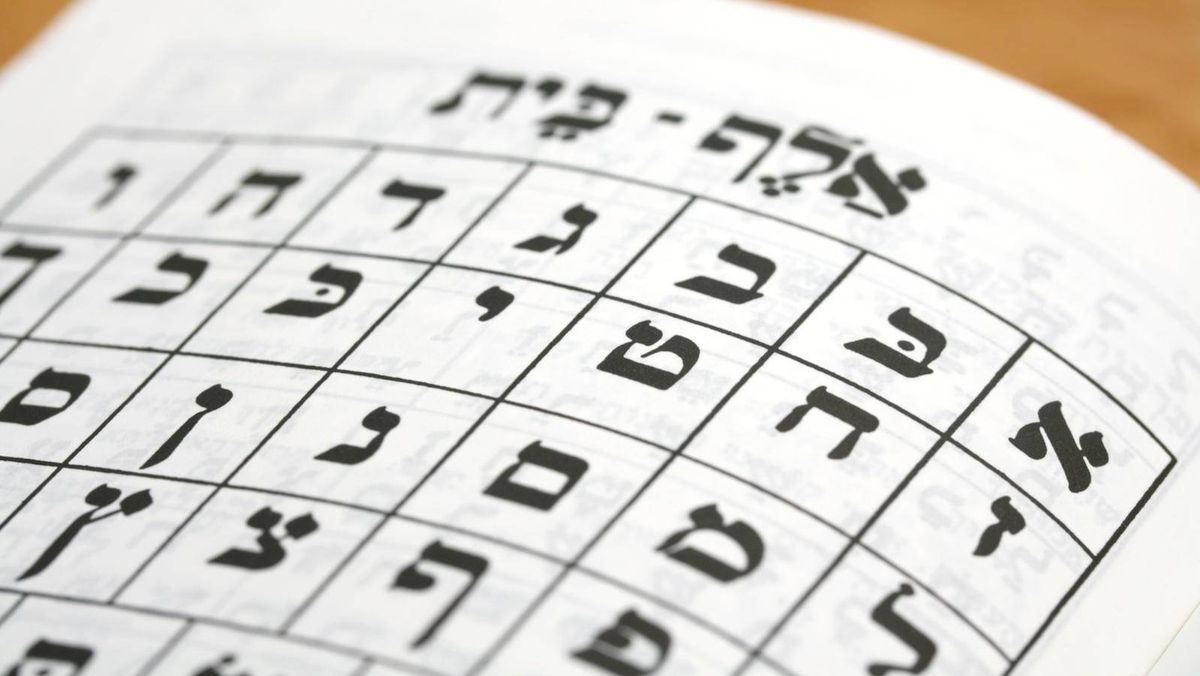 مواقع التواصل 