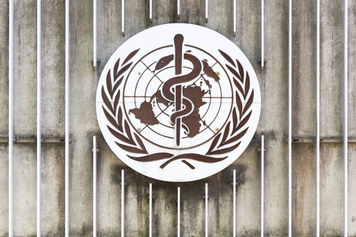 منظمة الصحة العالمية: طفل من كل 6 أطفال يتعرّض للمضايقة عبر الإنترنت