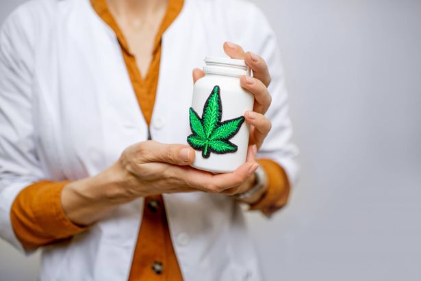 اعتقال أطباء بشبهة إصدار تراخيص لاستخدام القنب الطبي (كنابيس) بشكل غير قانوني
