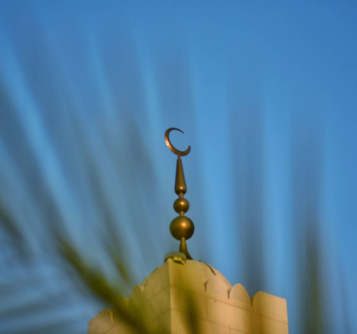 حول الرسائل التي يحاول المنشدين إيصالها من خلال الإنشاد..