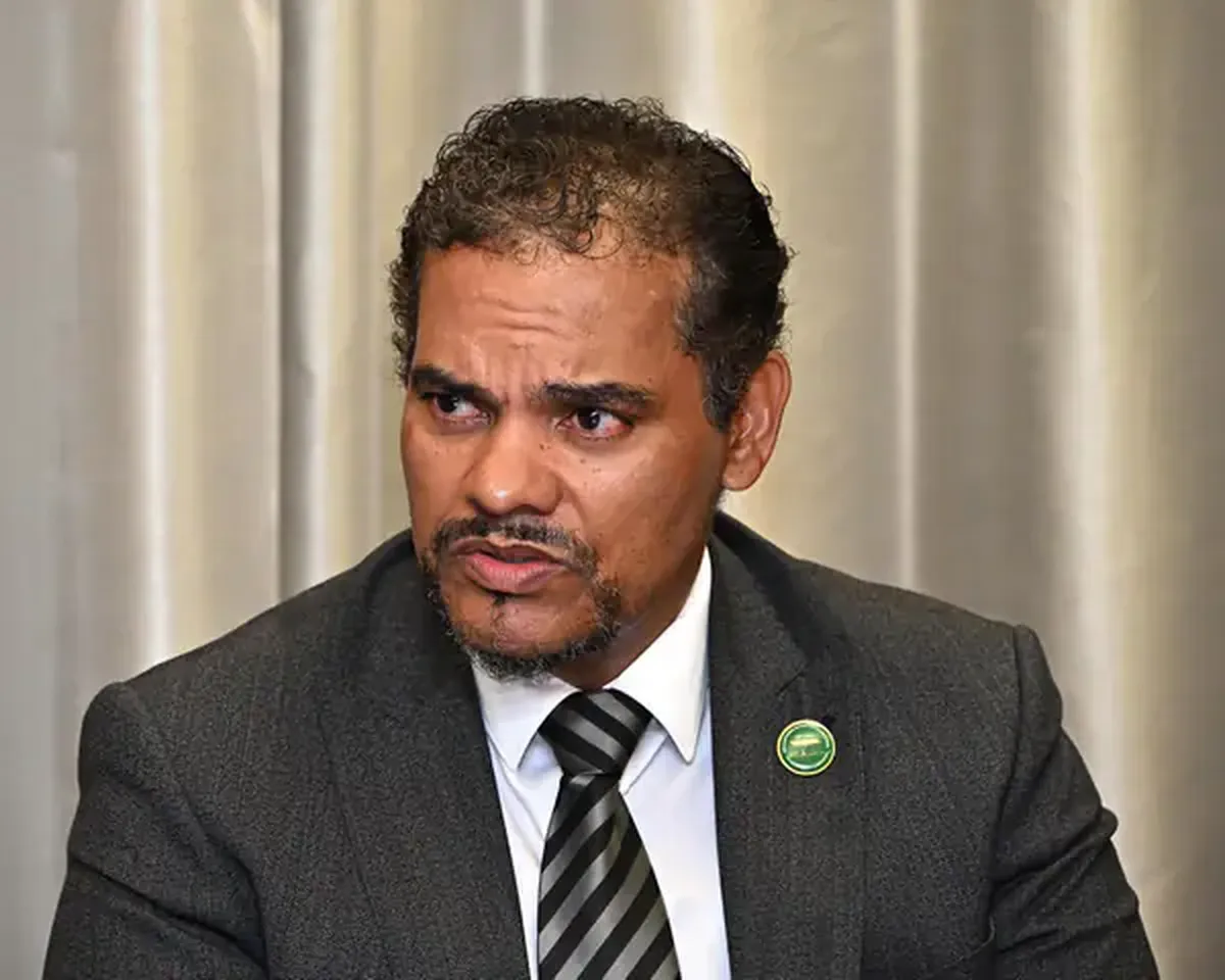 ألفين بوتس نائب وزير العلاقات الدولية والتعاون في جنوب أفريقيا-الصفحة الرسمية 
