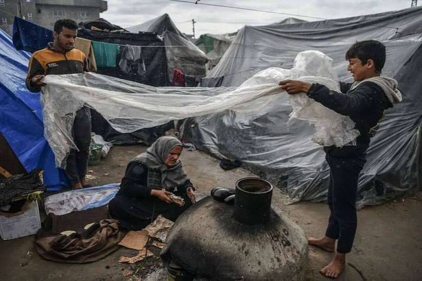 "الحرب ليست صواريخ فقط".. مادلين شقلي: لم يعد هناك أي مكان في غزة مؤهل للسكن أو الحياة