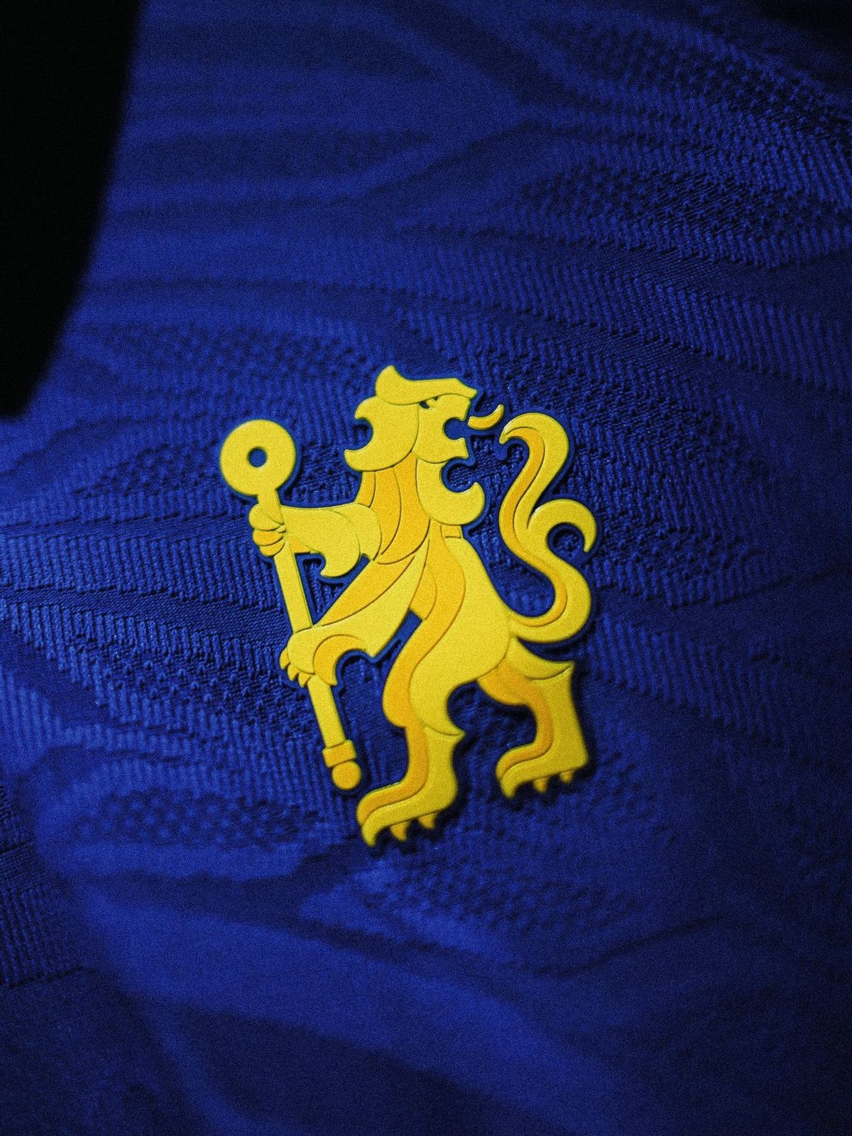 الصورة من الحساب الرسمي لنادي تشيلسي على منصة إكس- @ChelseaFC