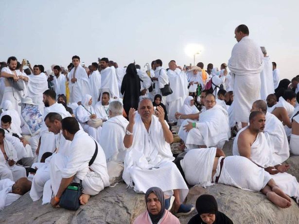 "لبيّك اللهم لبيك" .. الحجاج يؤدون ركن الحج الأعظم في عرفات