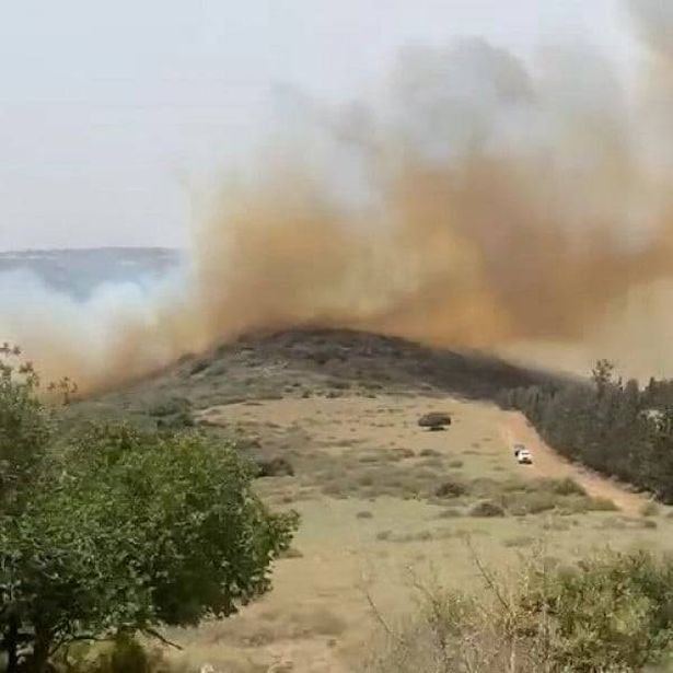 حريق في منطقة جبليّة في طرعان  