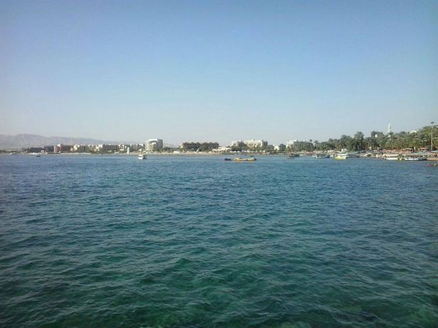بعد حادث العقبة.. إيهاب ريناوي في حديث للشمس: نجونا بأعجوبة‎‎!