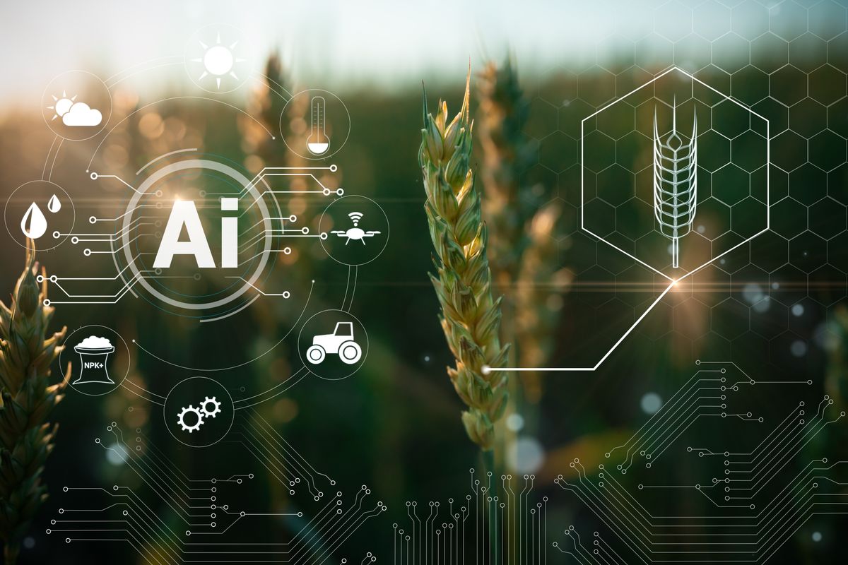 Smart,Ai,Monitoring,Wheat,Field,Technology,,Smart,Farming,Interface,Icons. | Shutterstock