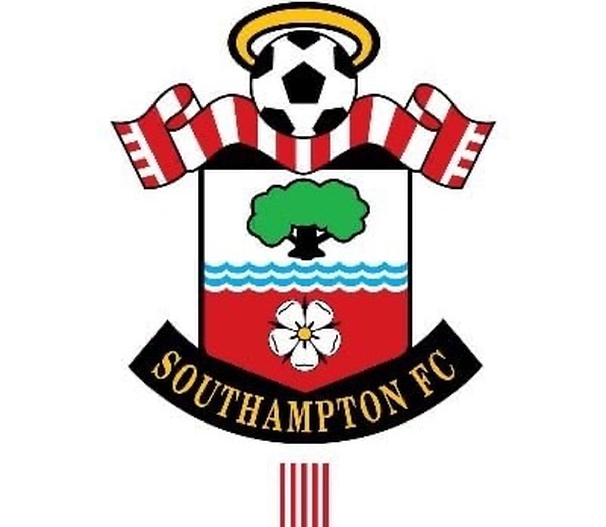الصورة من الحساب الرسمي لنادي ساوثامبتون- @Southamptonfc
