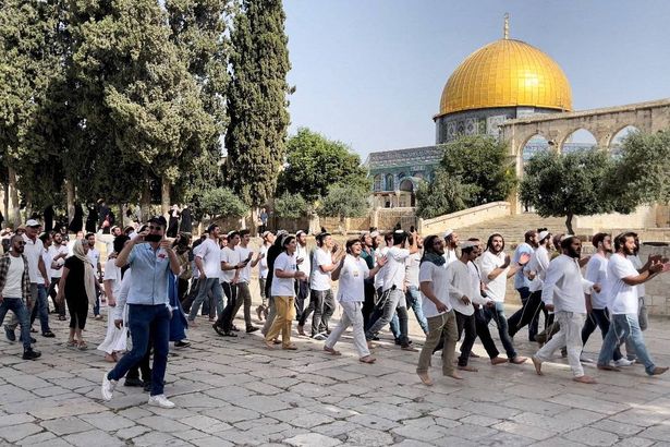 156 مستوطنًا اقتحم  المسجد الأقصى اليوم الأربعاء