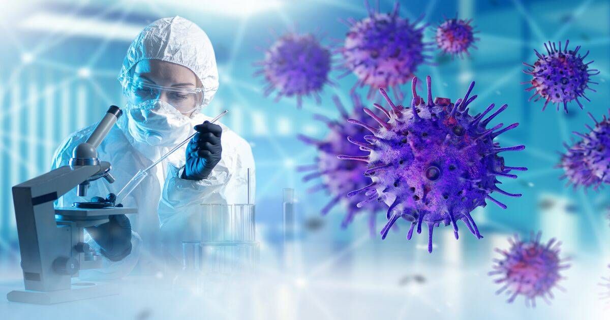 shutterstock