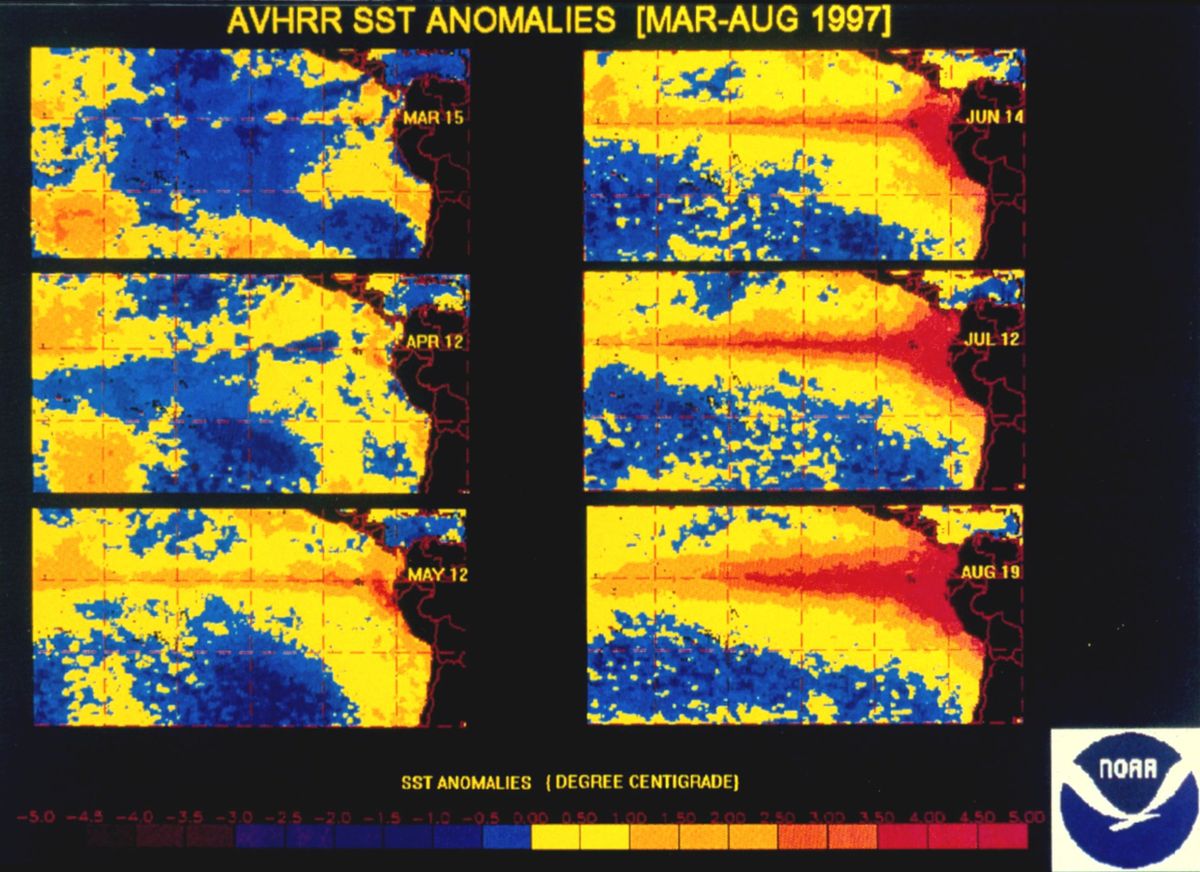 خرائط انحراف حرارة سطح المحيط بين آذار وآب 1997 تظهر تطور نينيو قوي سابق، وهي صورة أرشيفية وليست للظاهرة الحالية (المصدر: NOAA، ملكية عامة)