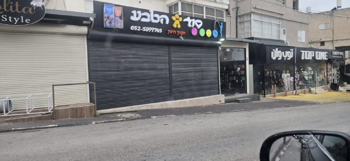 جانب من الإضراب- متداول  