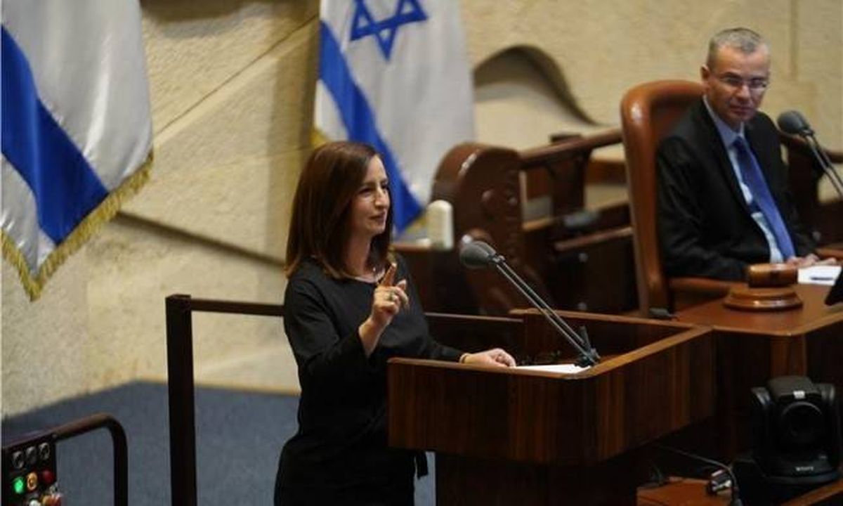 غيداء ريناوي: "سأدعم القضايا المبدئية المتعلقة بالمجتمع العربي"