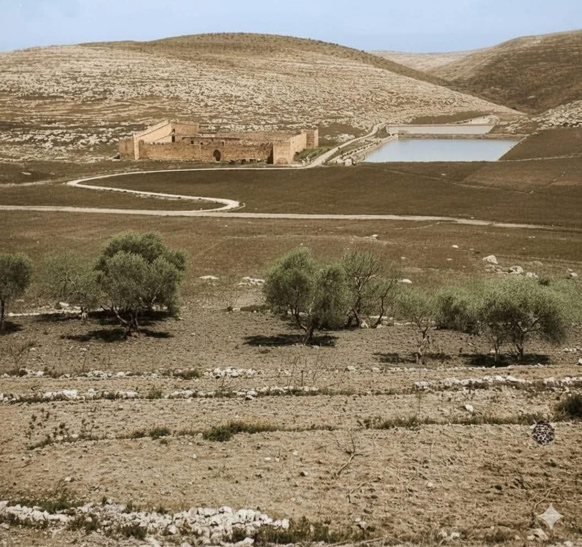 برك سليمان-الصفحة الرسمية لقرية أرطاس 