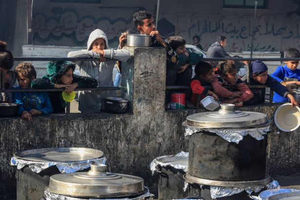 الحرب في يومها الـ184 |  نصف سكان غزة معرضون لخطر مجاعة وشيكة