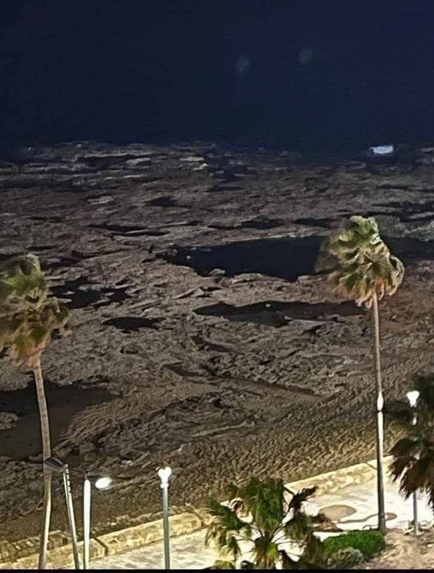 بلدية عكا: لا يوجد تحذيرات حول حدوث تسونامي وما يتم تداوله كاذب