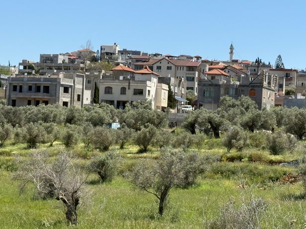بلدة كوكب أبو الهيجاء في الجليل الغربي، موطن فريق مكابي نجيدات أحمد (تصوير: Shlomo Roded / ويكيميديا كومنز، CC BY 2.5)