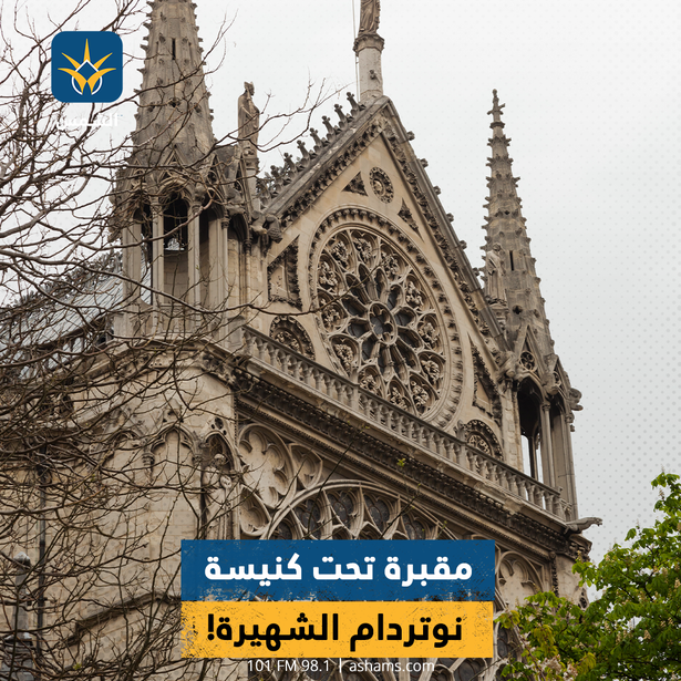 مقبرة تحت كنيسة نوتردام الشهيرة!