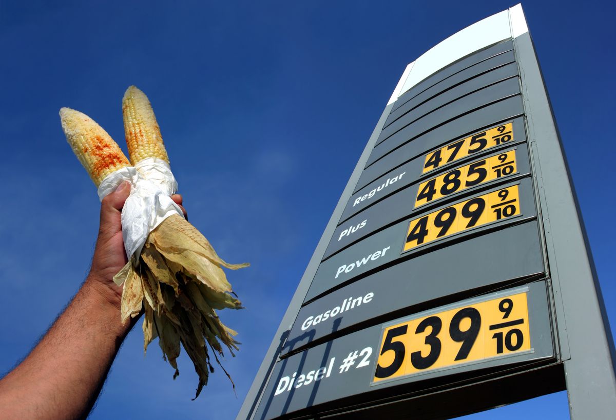 Alternative,Biofuel | Shutterstock